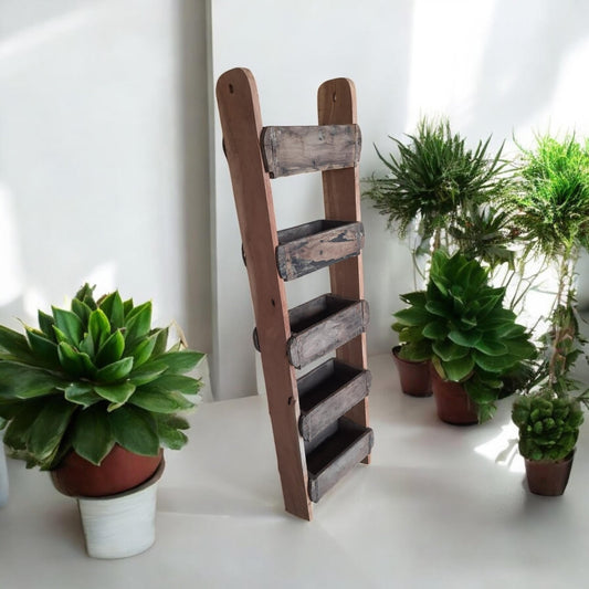 120CM RECLAIMED WOODEN WALL 5 BRICK RACK