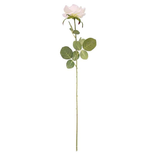 Arundel Open Rose Cream
