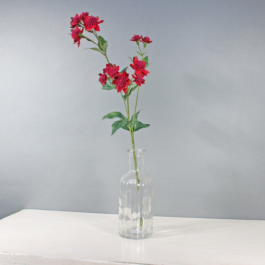 Red Astrantia with 14 Flowers (50cm)