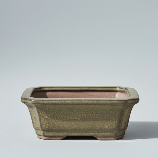 12cm Glazed Bonsai Pot | Rectangle | 12cm x 10cm x 4cm | Green | Luxury Home Accessories | Heulog Glow