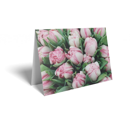 Pink/White Tulips Folded Card with Care Info (pack of 25)