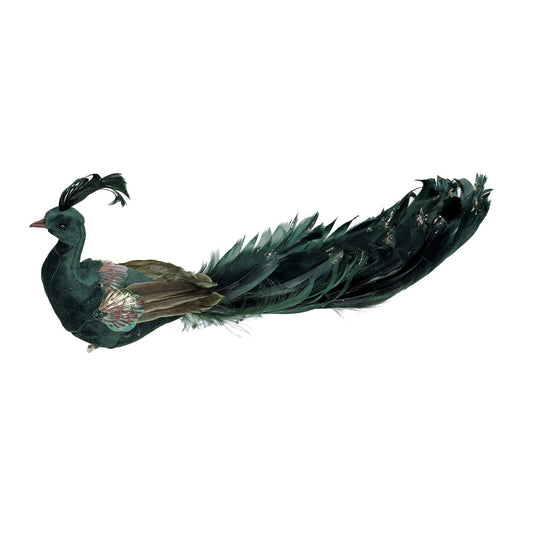 Green Velvet Peacock (26cm)