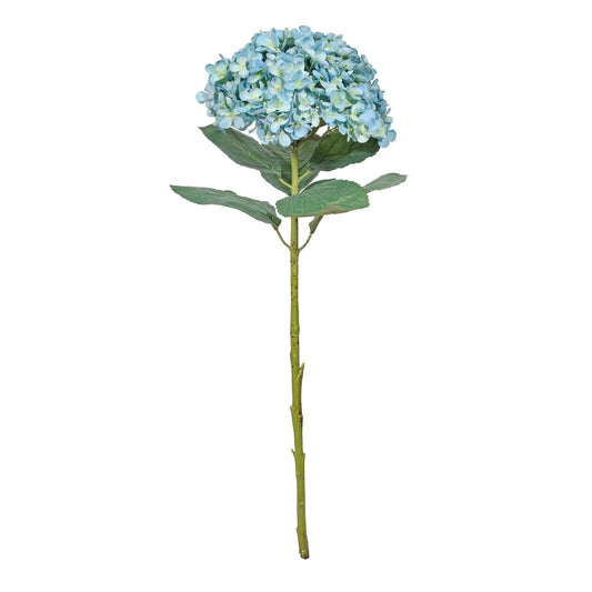 Botanica Giant Blue Mop Head Hydrangea (73cm)