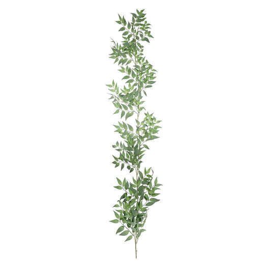 Green Botanica Ruscus Garland (167cm)
