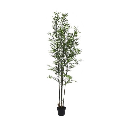 UV Botanica Bamboo Plant (182cm)