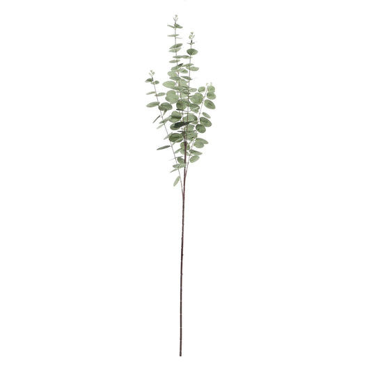 Grey/Green Eucalyptus Stem