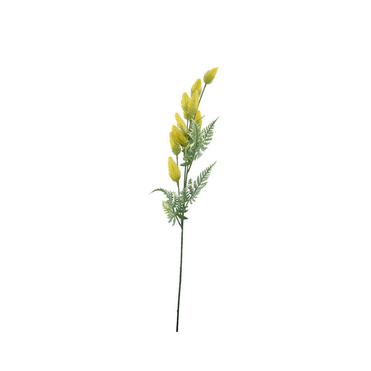 Essential Yellow Thistle