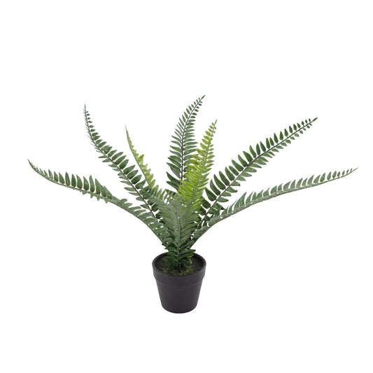 Botanica Fern Plant 8 Fronds (35cm)