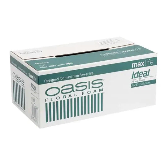 Oasis Ideal Foam Maxlife Brick (20 pk)