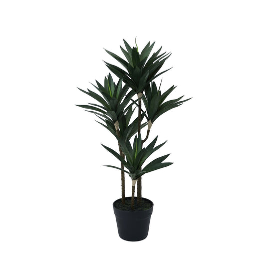 Green Botanica Yucca Tree (78cm)