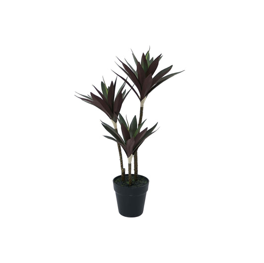 Botanica Yucca Tree in Pot (63cm)