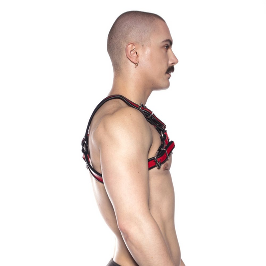 Prowler RED Bull Harness Black/Red Small