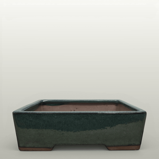22cm Glazed Bonsai Pot | Rectangle | 22cm x 17cm x 7cm | Dark Green | Luxury Home Accessories | Heulog Glow