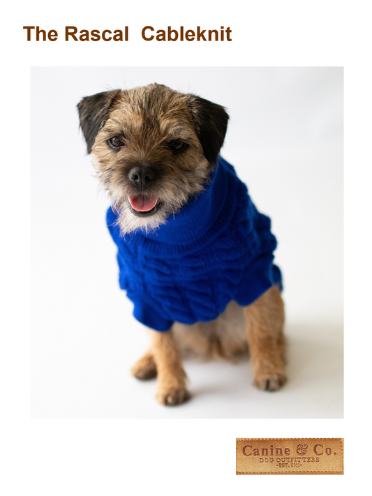 The Rascal Dog Jumper