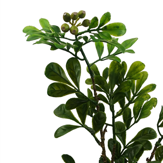 45cm Artificial Aglaia Odorata Bonsai Ficus Tree