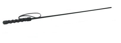 Strict Leather Intense Impact Cane Black