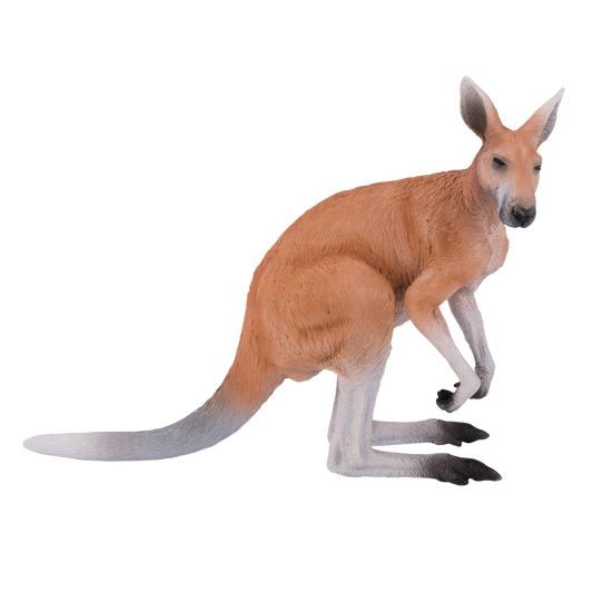 Kangaroo Toy Realistic Australian Wildlife Model