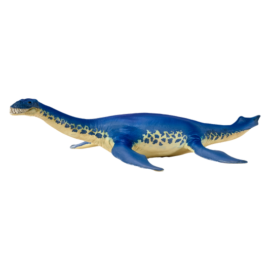 Cryptoclidus Dinosaur Toy Prehistoric Marine Reptile