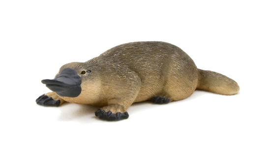 Duck-Billed Platypus Toy Realistic Australian Wildlife Model