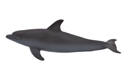 Bottlenose Dolphin Toy Realistic Ocean Animal Model