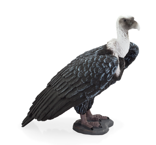 Griffon Vulture Toy Realistic Bird of Prey Figurine