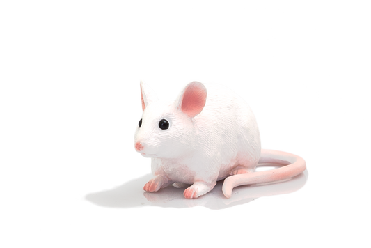 Mouse Toy Realistic Small Animal Figurine