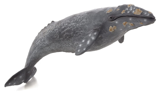 Gray Whale Toy Realistic Ocean Animal Model