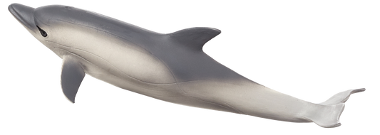 Common Dolphin Toy Realistic Ocean Animal Figurine