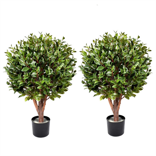 UV Resistant Gloxinia Single Topiary 1608 Leaves Trunk