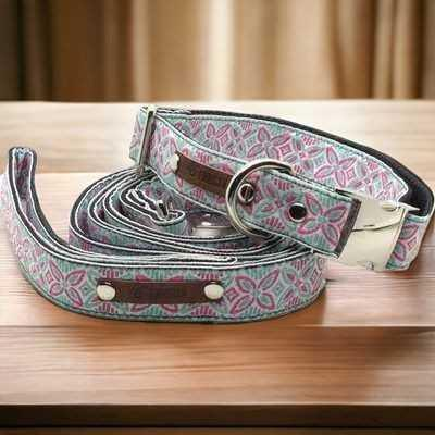 Finnigan's Signature Dog Collar Set