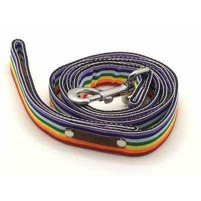 Finnigan's Love Luxury Pup Lead