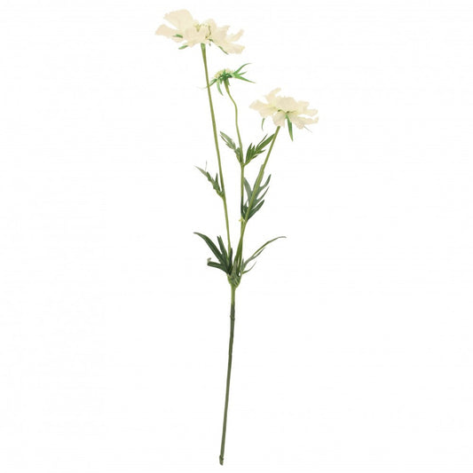 White Scabiosa Spray 75cm