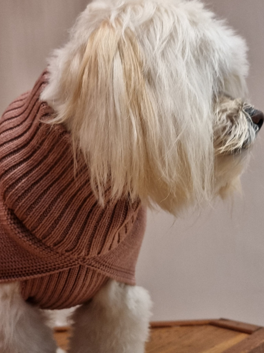 The Charlie Dog Jumper