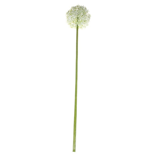 76cm Single Allium Cream & White