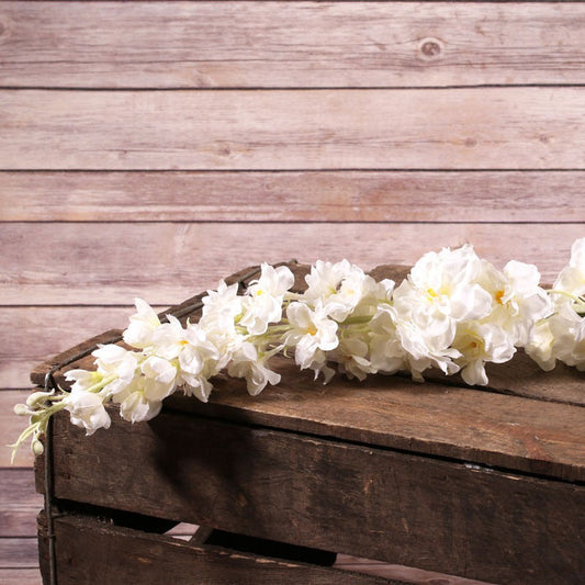 Delphinium Cream 102cm