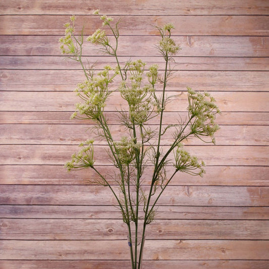 Large Queen Ann Lace
