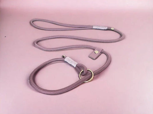 6mm gundog slip lead - Handmade Paracord Dog Lead | Luxury Home Accessories | Heulog Glow