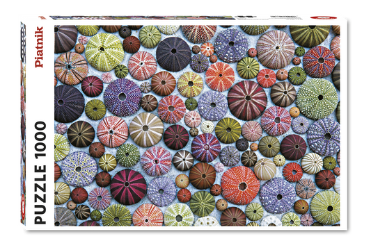 Sea urchins 1000 Piece Jigsaw Puzzle