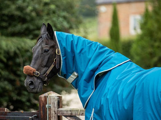 100g Turnout Rug Neck Cover - Turquoise