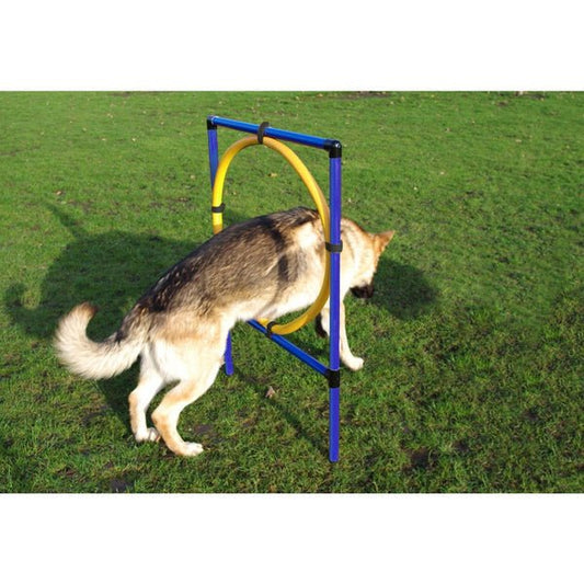 Agility Hoop Jump | Luxury Home Accessories | Heulog Glow