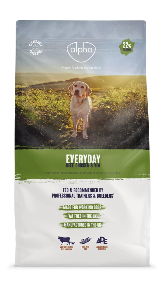 Alpha Adult Everyday Dog | Luxury Home Accessories | Heulog Glow