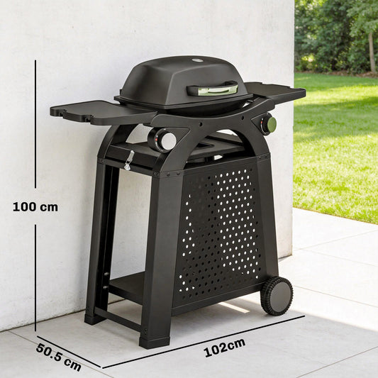 Outsunny 2 Burner Gas Grill with 2 Side Tables, 3.8 KW Barbecue Grill with Cast Iron Grates, 2-in-1 Tabletop BBQ with Wheels