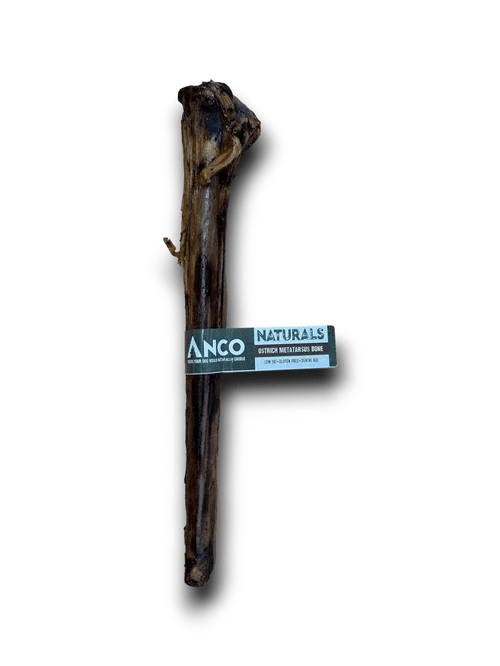 Anco Naturals Ostrich Metatarsus Bone | Luxury Home Accessories | Heulog Glow