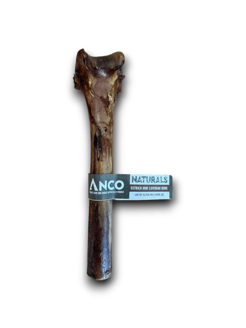 Anco Naturals Ostrich Mini Caveman Bone BULK DEAL 10x | Luxury Home Accessories | Heulog Glow