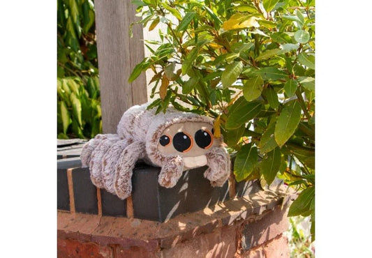 Ancol Cuddle Sid Spider | Luxury Home Accessories | Heulog Glow