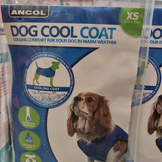 Ancol Dog Cooling Vest | Luxury Home Accessories | Heulog Glow