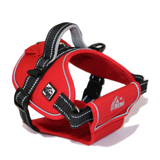 Ancol Extreme Harn Red 87-120cm | Luxury Home Accessories | Heulog Glow