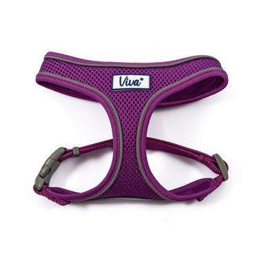 Ancol Viva Comfort Dog Harness Purple XS 28-40cm | Luxury Home Accessories | Heulog Glow