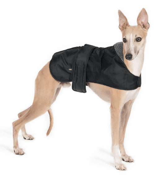 Ancol Whippet Coat Black | Luxury Home Accessories | Heulog Glow