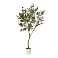 Apulia Olive Tree In White Pot 240Cm | Luxury Home Accessories | Heulog Glow